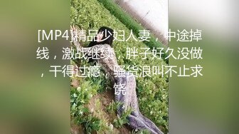 [MP4]精品少妇人妻，中途掉线，激战继续，胖子好久没做，干得过瘾，骚货浪叫不止求饶