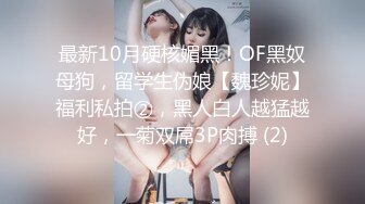 最新10月硬核媚黑！OF黑奴母狗，留学生伪娘【魏珍妮】福利私拍②，黑人白人越猛越好，一菊双屌3P肉搏 (2)