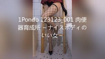 1Pondo 123123_001 肉便器育成所 ～ナイスボディのいい女～