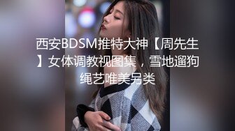 西安BDSM推特大神【周先生】女体调教视图集，雪地遛狗绳艺唯美另类