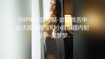 [MP4]麻豆传媒-贫嘴贱舌中出大嫂坏嫂嫂和小叔偷腥内射受孕-吴梦梦