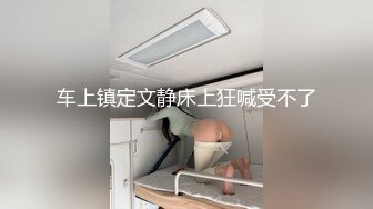 车上镇定文静床上狂喊受不了