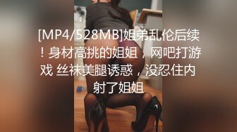 [MP4/528MB]姐弟乱伦后续！身材高挑的姐姐，网吧打游戏 丝袜美腿诱惑，没忍住内射了姐姐