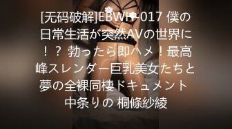 [无码破解]EBWH-017 僕の日常生活が突然AVの世界に！？ 勃ったら即ハメ！最高峰スレンダー巨乳美女たちと夢の全裸同棲ドキュメント 中条りの 桐條紗綾