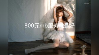 800元mb服务就是好