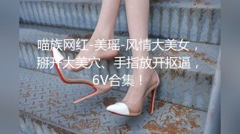 喵族网红-美瑶-风情大美女，掰开大美穴、手指放开抠逼，6V合集！