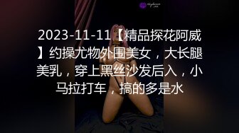 2023-11-11【精品探花阿威】约操尤物外围美女，大长腿美乳，穿上黑丝沙发后入，小马拉打车，搞的多是水