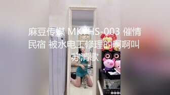 麻豆传媒 MKYHS-003 催情民宿 被水电工修理的啊啊叫 苏清歌