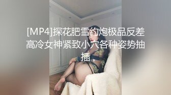 [MP4]探花肥雪约炮极品反差高冷女神紧致小穴各种姿势抽插