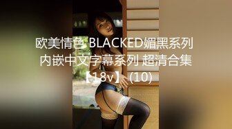 欧美情色 BLACKED媚黑系列 内嵌中文字幕系列 超清合集【18v】 (10)