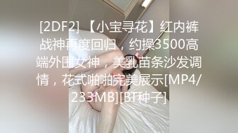 [2DF2] 【小宝寻花】红内裤战神再度回归，约操3500高端外围女神，美乳苗条沙发调情，花式啪啪完美展示[MP4/233MB][BT种子]