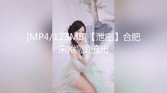 [MP4/123MB]【泄密】合肥宋X视图流出