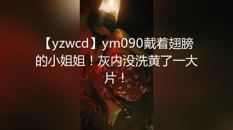 【yzwcd】ym090戴着翅膀的小姐姐！灰内没洗黄了一大片！