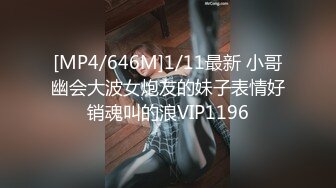 [MP4/646M]1/11最新 小哥幽会大波女炮友的妹子表情好销魂叫的浪VIP1196