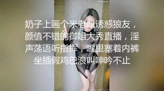 奶子上画个米老鼠诱惑狼友，颜值不错的御姐大秀直播，淫声荡语听指挥，嘴里塞着内裤坐插假鸡巴浪叫呻吟不止