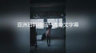 亚洲日韩精品一本中文字幕