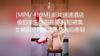 [MP4/ 499M] 新片速递酒店偷拍学生情侣开房 超短裙美女被扒开内裤就干插入后疼到哭