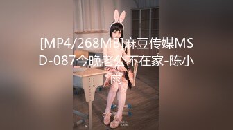 [MP4/268MB]麻豆传媒MSD-087今晚老公不在家-陈小雨