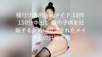 種付け専用巨乳メイド 1対6 150分中出し 僕の子供を妊娠するために派遣されたメイドとの共同生活