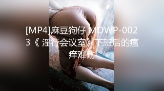 [MP4]麻豆狗仔 MDWP-0023《 淫行会议室》下班后的瘙痒难耐