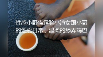 [MP4]超顶推特调教母狗大神▌我不是AV男优▌古城露出江景房激战 菊穴双插双目失神 内射后庭精彩对话